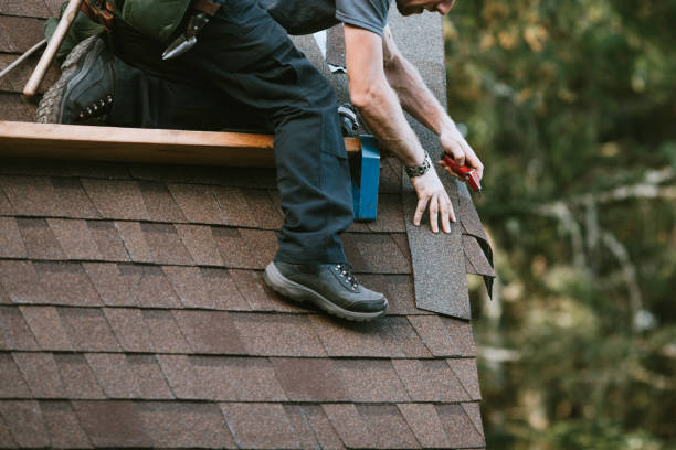 Best Gutter Installation and Roofing  in Trinidad, CO